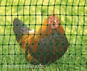 Chiquen malla para gallinas